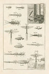 The book of nature, or, The history of insects Pl.13