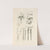 The book of nature, or, The history of insects Pl.18 by Jan Swammerdam