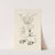 The book of nature, or, The history of insects Pl.21 by Jan Swammerdam