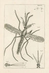 The book of nature, or, The history of insects Pl.32