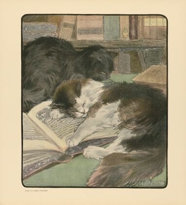 The book of the cat pl 4 (1903)