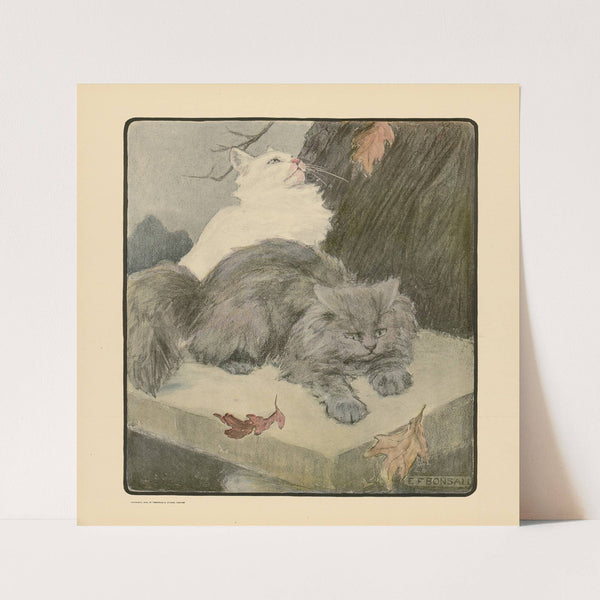 The book of the cat pl 5 (1903) by Elizabeth Fearne Bonsall