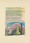 The Book of Thel Pl.3 (19th century)