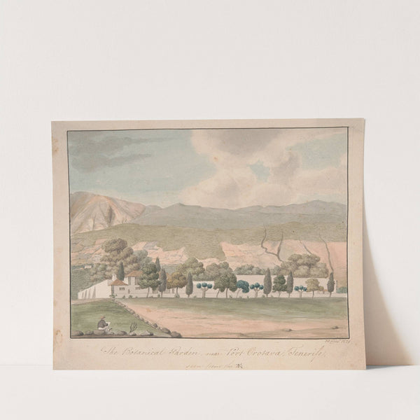 The Botanical Garden near Port Orotava, Tenerife by Alfred Diston