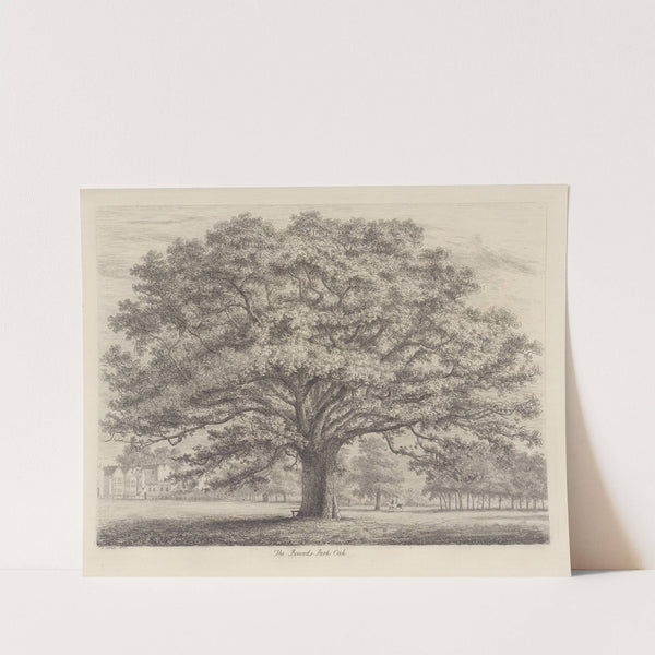 The Bounds-Park Oak by Jacob George Strutt