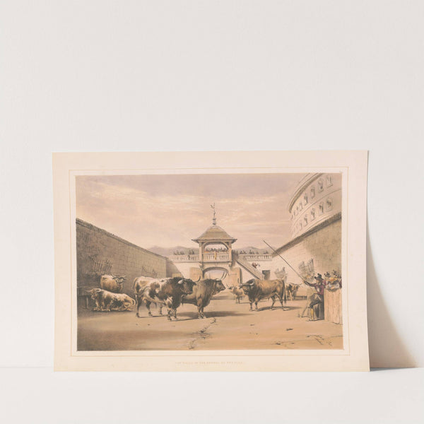 The bulls in the corral of the plaza (1860-1870) by William Henry Lake Price