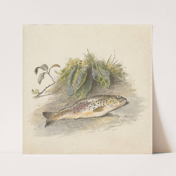 The Burn (tail piece) by Alfred W. Cooper