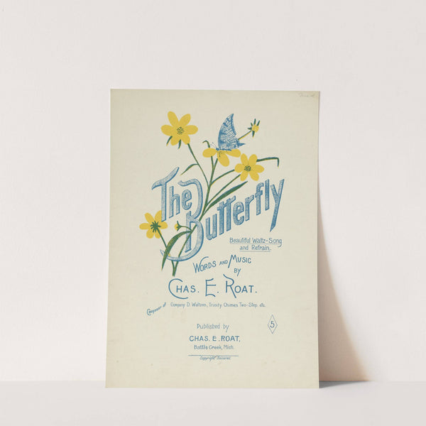 The butterfly by Anonymous