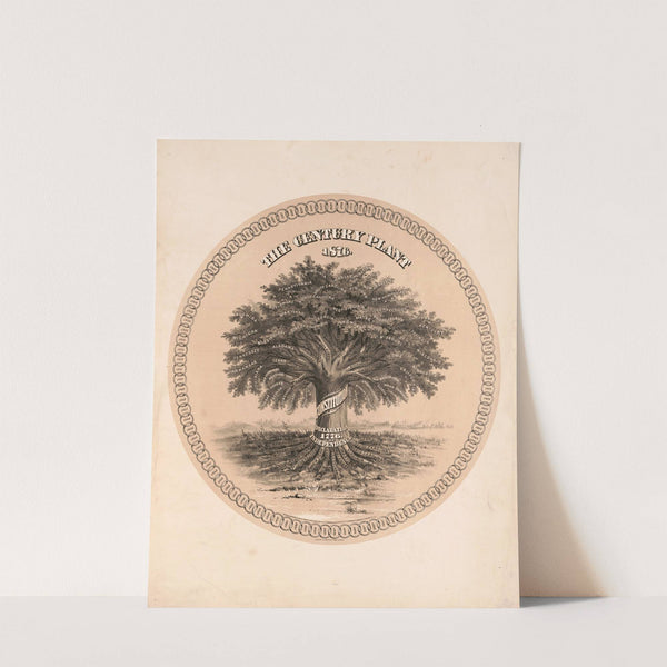 The century plant 1876 (1876) by A. Hoen & Co.