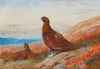 The Challenge (1917)
