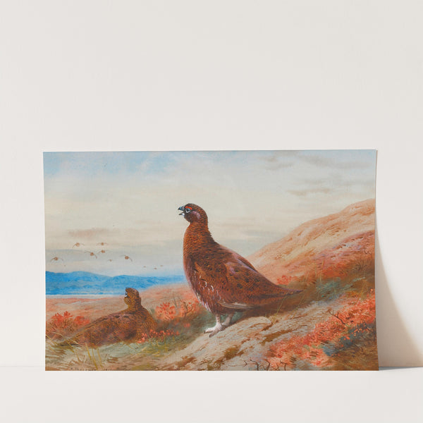 The Challenge (1917) by Archibald Thorburn