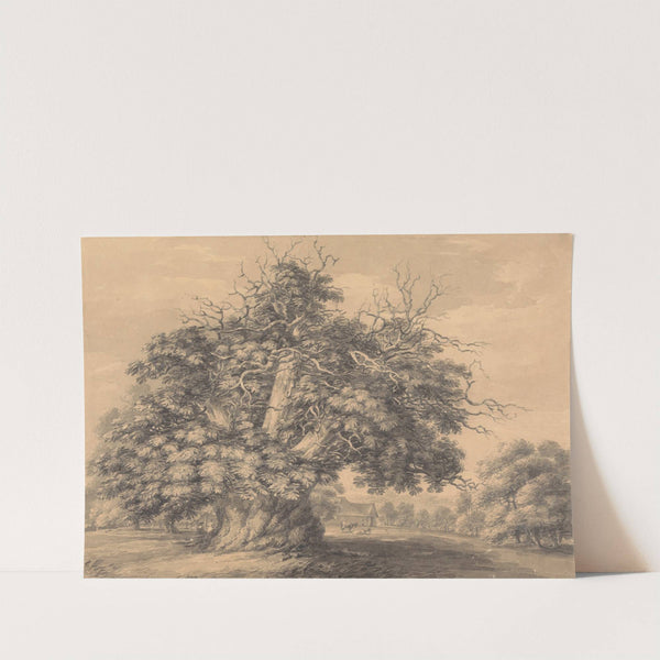 The Chestnut Tree at Little Wymondley, Hertfordshire by Thomas Hearne