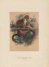 The Clouded Tiger