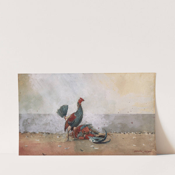 The Cock Fight (1885) by Winslow Homer