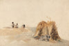 The Cornfield