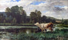 The cows