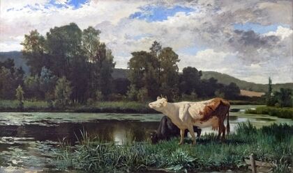 The cows