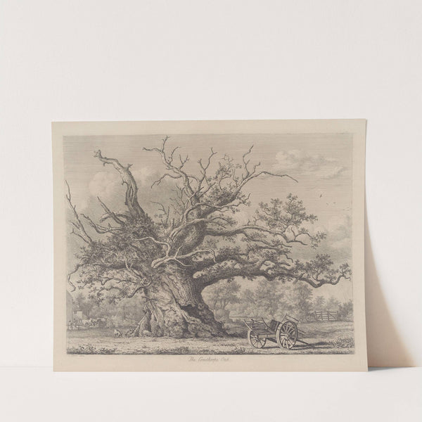 The Cowthorpe Oak by Jacob George Strutt
