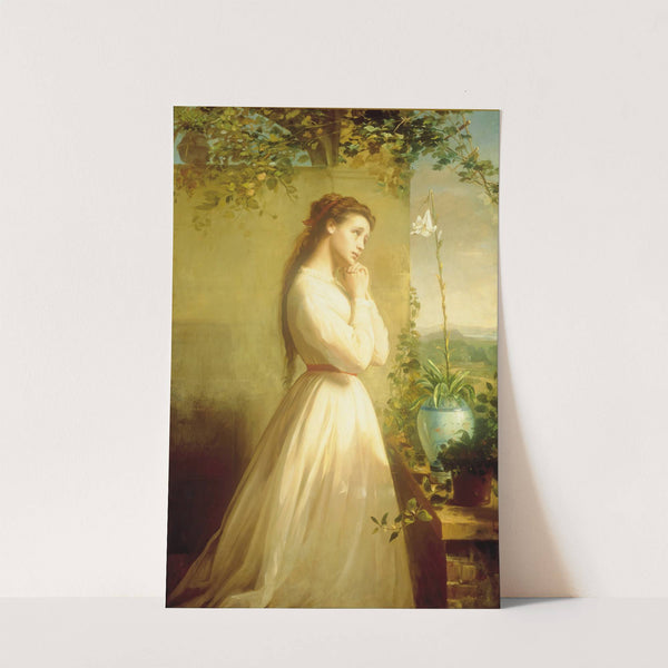 The Dead Flower by Manuel Ocaranza