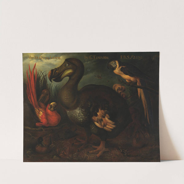 The Dodo and Given by Henrik Gronvold