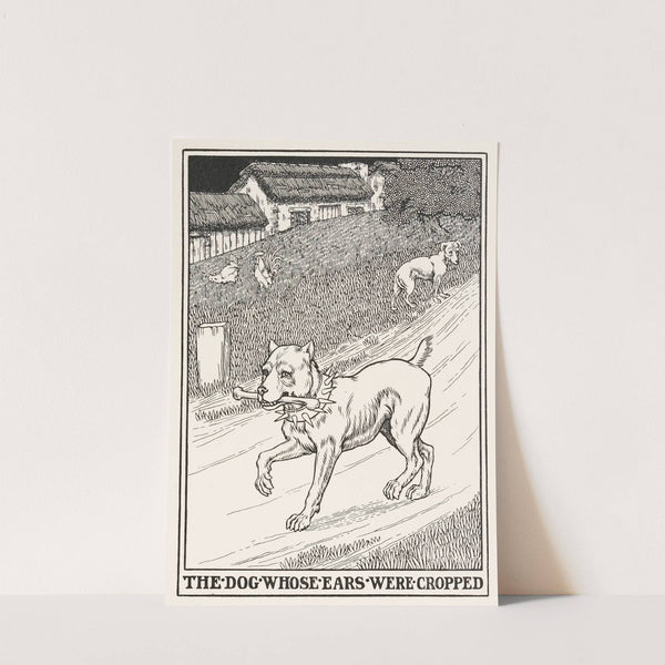 The Dog whose Ears were Cropped by Percy J. Billinghurst