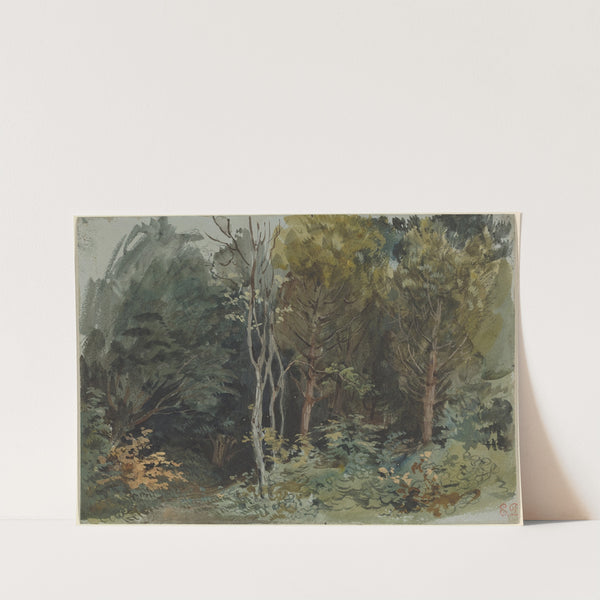 The Edge of a Wood at Nohant (c. 1842-1843) by Eugène Delacroix