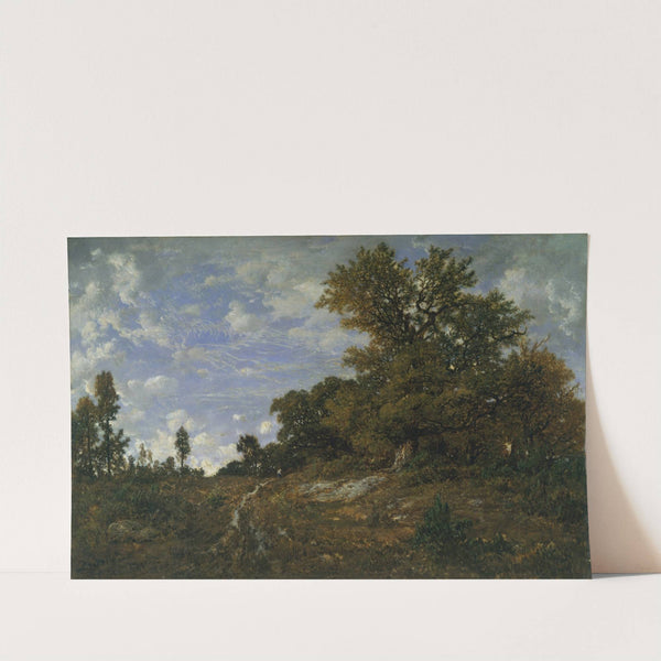 The Edge of the Woods at Monts-Girard, Fontainebleau Forest by Théodore Rousseau