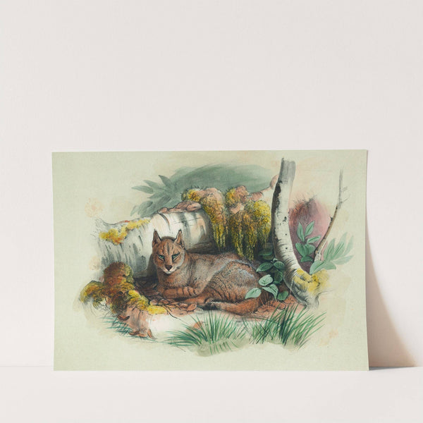 The Egyptian Cat by Joseph Wolf