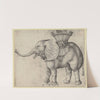 The Elephant by Martin Schongauer