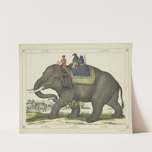 The elephant used to hunt other elephants (1829-1880) by Joseph Scholz
