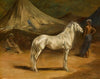 The Encampment