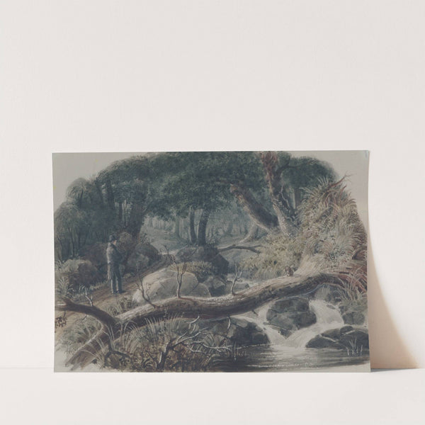 The Entrance to a Wood by Robert Walter Weir