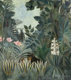 The Equatorial Jungle