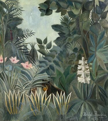 The Equatorial Jungle