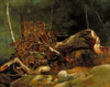 The Fallen Branch, Fontainebleau