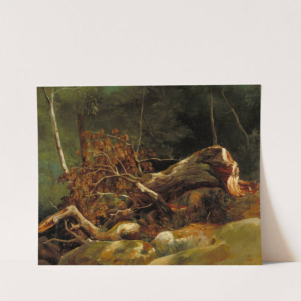 The Fallen Branch, Fontainebleau by Achille Etna Michallon