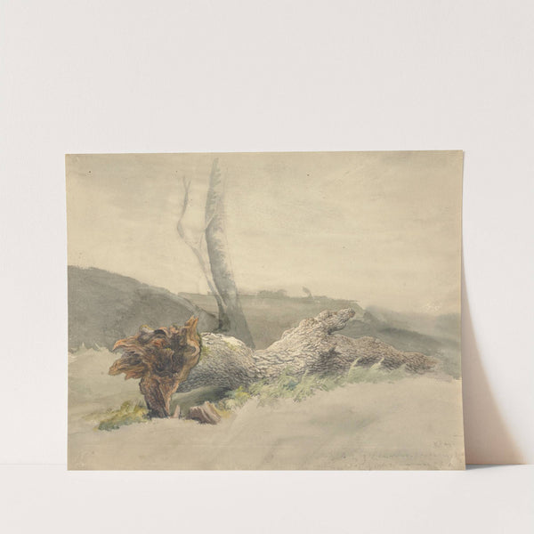 The Fallen Tree by Robert Hills