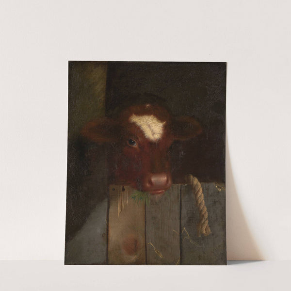 The Family Cow (Calf's Head) by William Merritt Chase