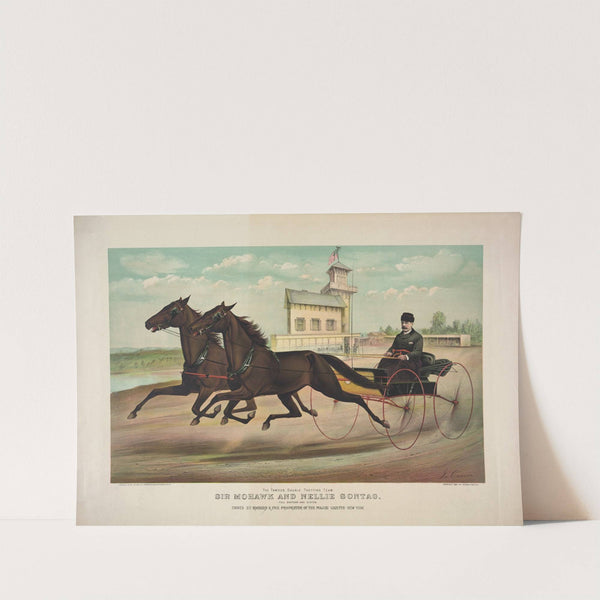 The famous double trotting team, Sir Mohawk and Nellie Sontag; full brother and sister (1889) by John Cameron