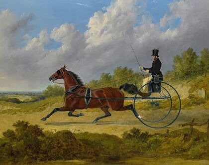 The Famous Trotter Confidence Drawing A Gig — size preview