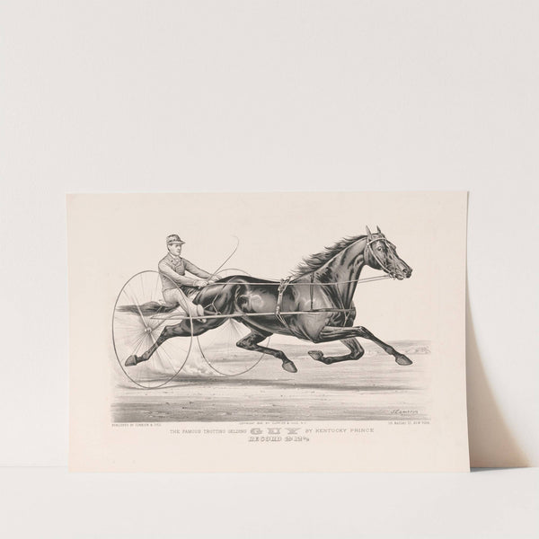 The famous trotting Gelding Guy by Kentucky Prince (1888) by John Cameron
