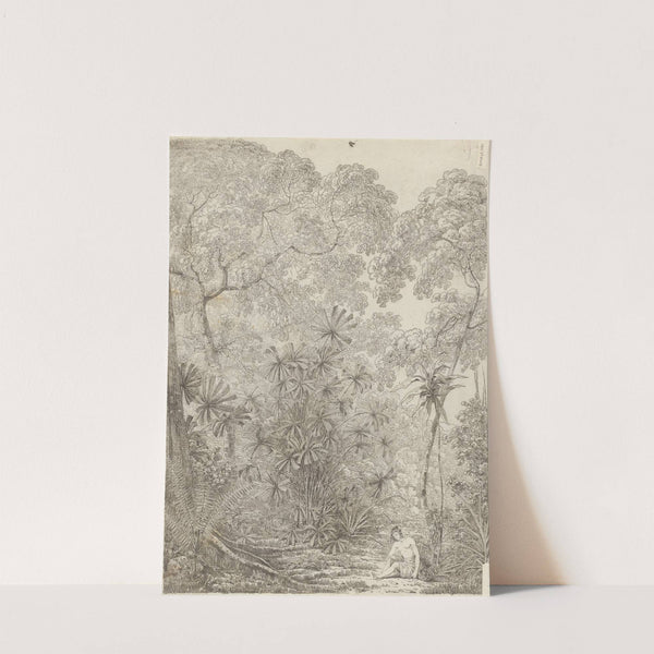 The Fan Palm of Cracatoa by John Webber