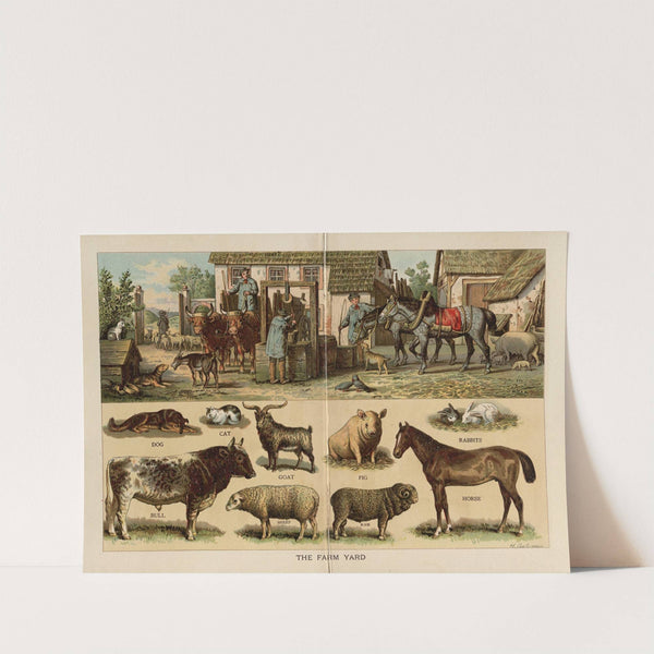 The Farm yard by Frederick Warne & Co