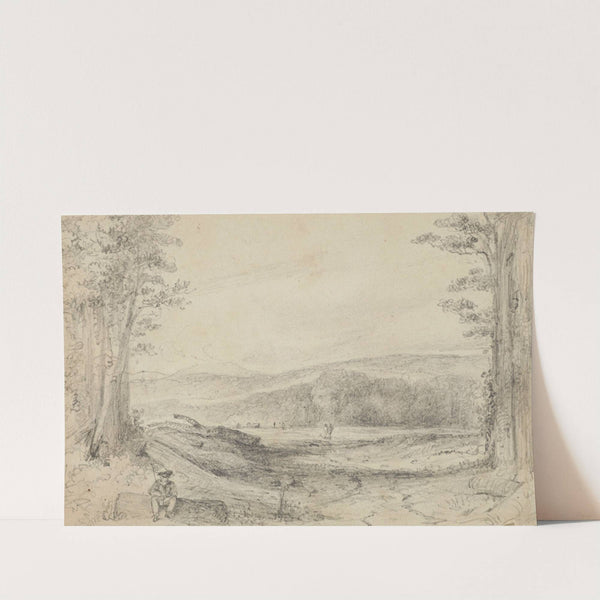 The Fern ground, looking up towards Managaroa by William Swainson