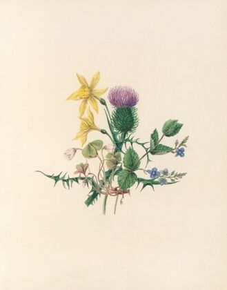The fête of the flowers Pl.02