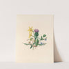 The fête of the flowers Pl.02 by Jane Elizabeth Giraud