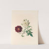 The fête of the flowers Pl.04 by Jane Elizabeth Giraud