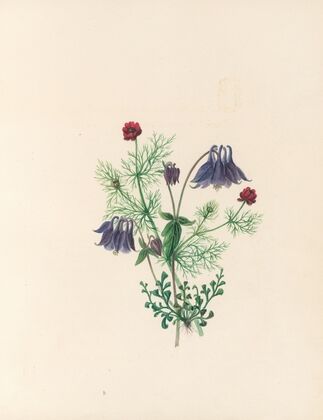 The fête of the flowers Pl.05