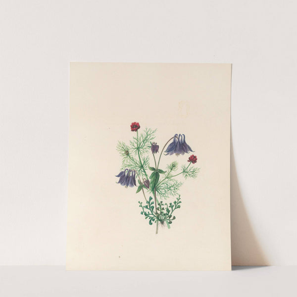 The fête of the flowers Pl.05 by Jane Elizabeth Giraud