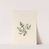 The fête of the flowers Pl.07 by Jane Elizabeth Giraud